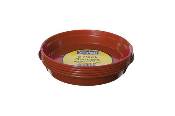 Large Single Pot Saucers (5 Sizes)